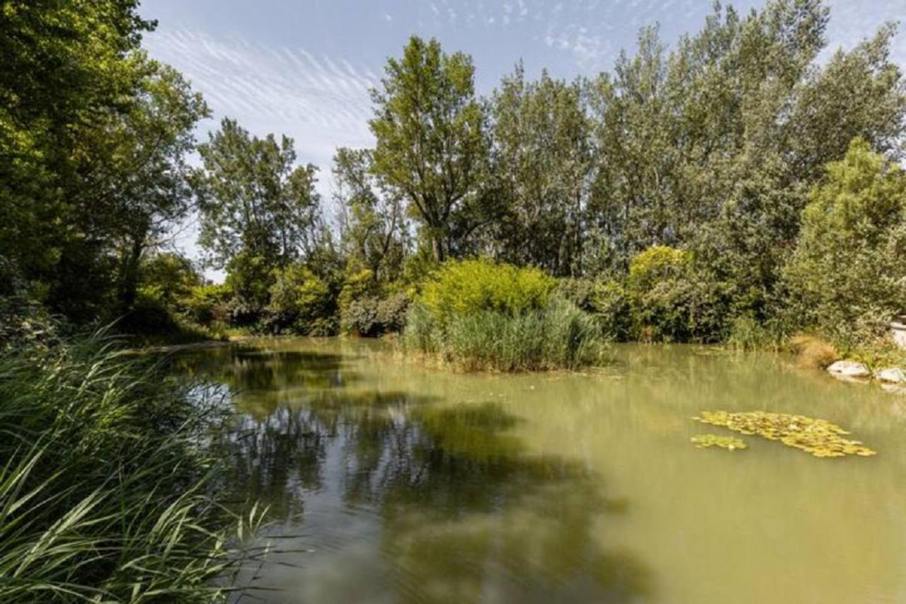 索格岛La Bastide De L Etang公寓 外观 照片